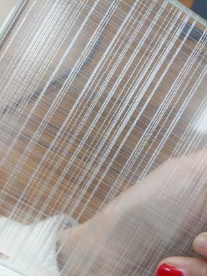Vidro laminado do vestuário 6mm