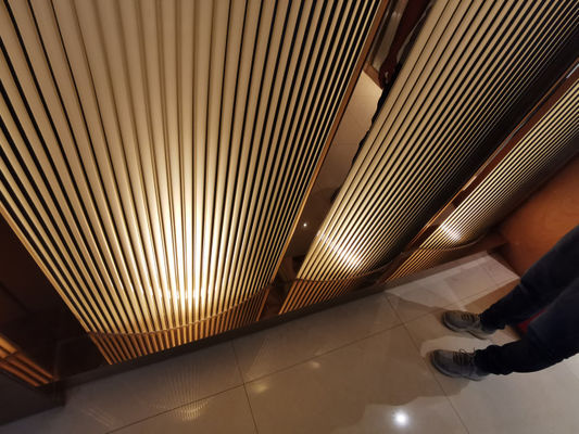 Vidro 1sqm fundido decorativo retroiluminado dimensional da cabine 3